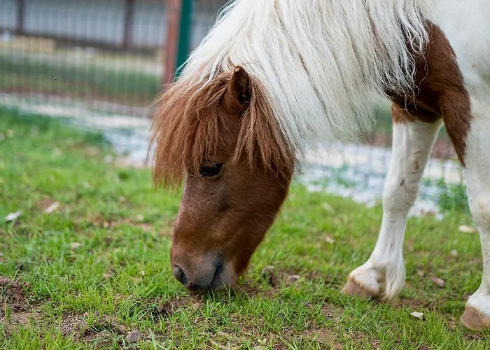 Alados Bed & Breakfast Turgutkoy