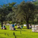 Hotel Alados 2*