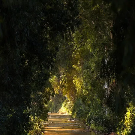 Alados Bed & Breakfast 2*