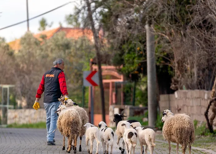 לינה וארוחת בוקר Alados Turgutkoy