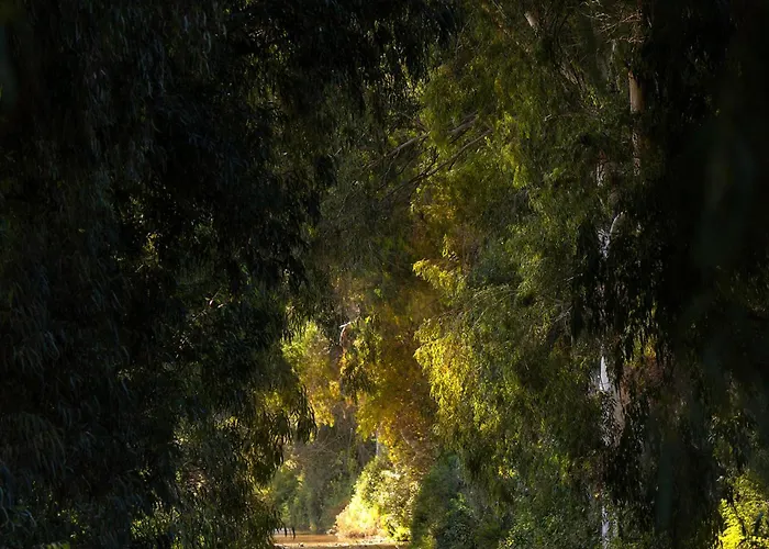 Alados לינה וארוחת בוקר 2*